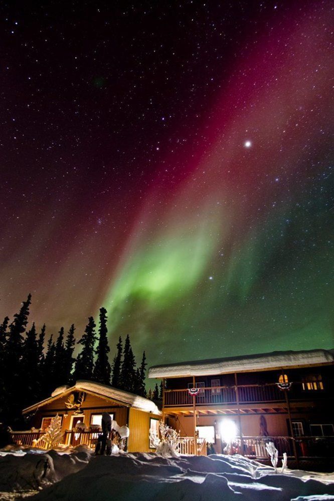 A Mooseberry Inn B&B Slana Bagian luar foto